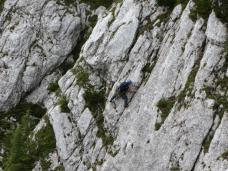 Klik za večjo sliko